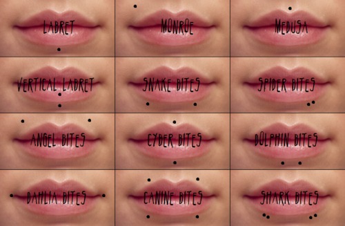 Lip-Piercings.jpg