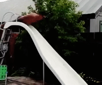 man+slides+down+slide+in+to+pool+dr+heckle+funny+wtf+gifs.gif