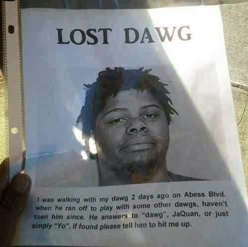 lost+dawg+dr+heckle+funny+wtf+lost+dog+posters.jpg