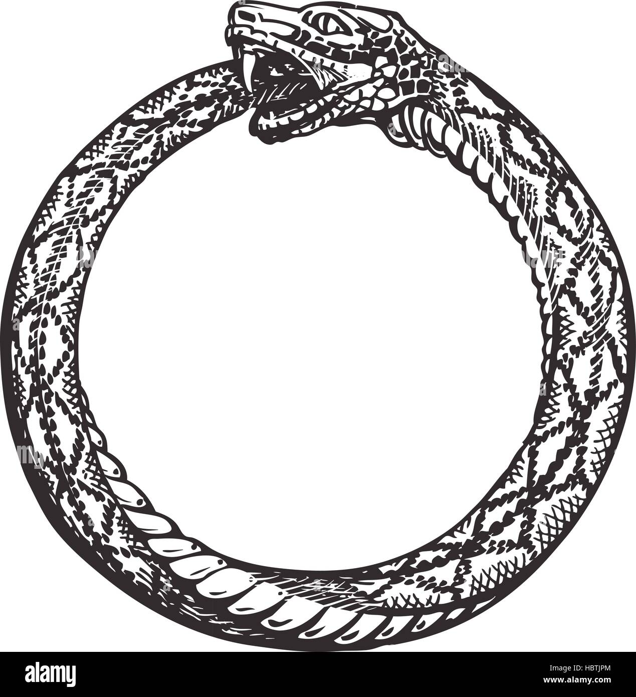 ouroboros-snake-eating-its-own-tail-eternity-or-infinity-symbol-HBTJPM.jpg