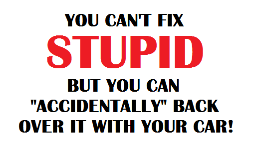 69965458-YOU_CAN_27T_FIX_STUPID.png