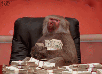 Office-baboon-money-stacks.gif