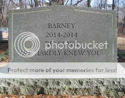 BARNEY.jpg