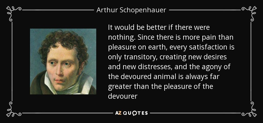 quote-it-would-be-better-if-there-were-nothing-since-there-is-more-pain-than-pleasure-on-earth-arthur-schopenhauer-37-72-45.jpg