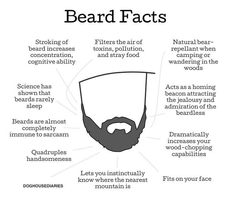 beard_facts.jpg