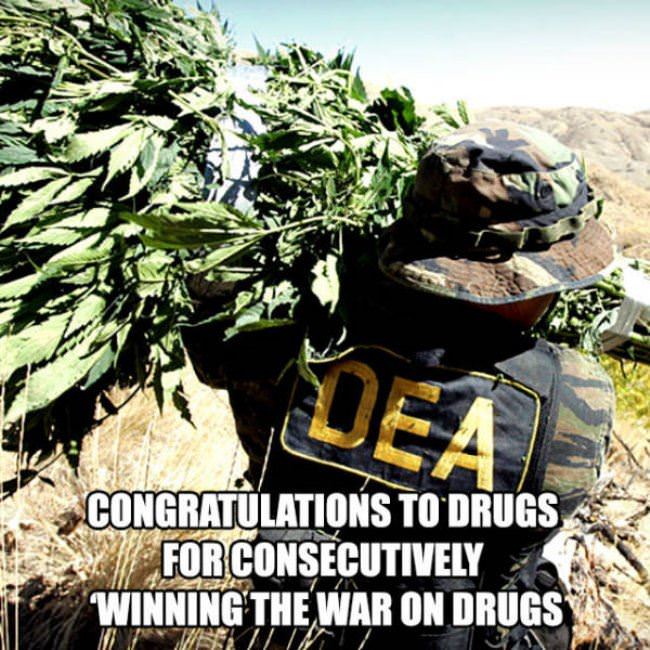 Big_Congrats_To_Drugs.jpg