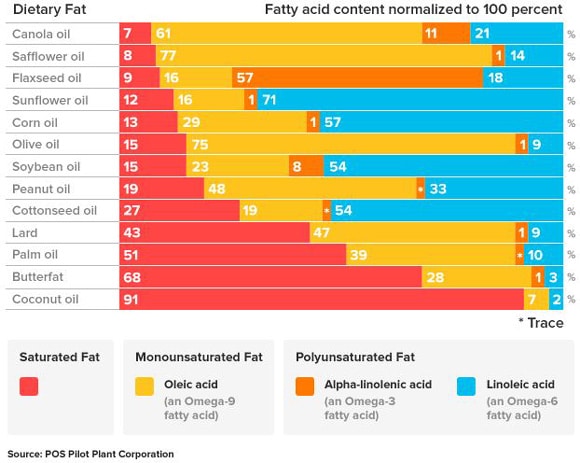 fatty-acid-breakdown-of-different-fats.jpg