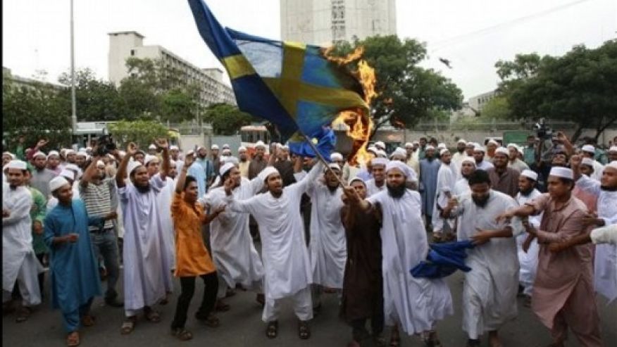 sweden-flag-burning-migrant-crisis.jpg
