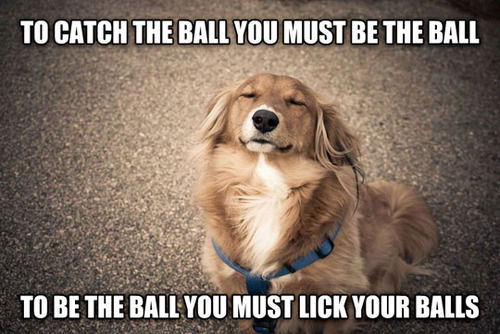 136970-To-Be-The-Ball-You-Must-Lick-Your-Balls.jpg