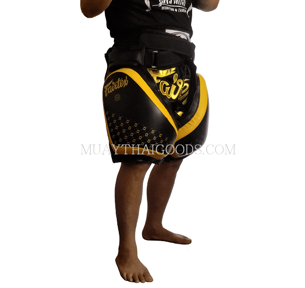 ULTRALIGHT-WEIGHT-FAIRTEX-TP4-THIGH-PADS-TRAINER-PROTECTOR.png