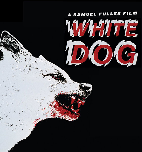 White-Dog-BD.jpg